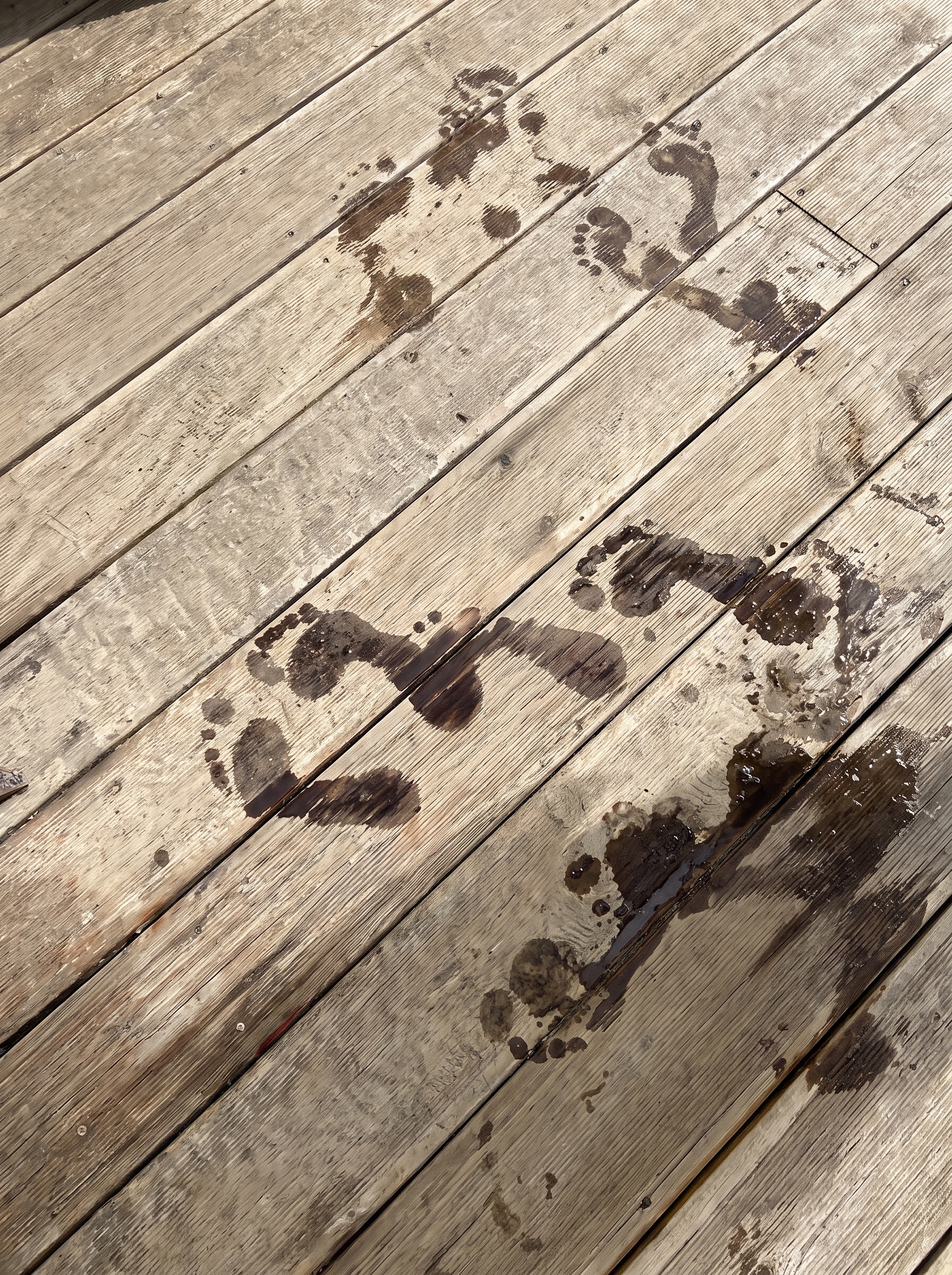 Footprints across wet ground